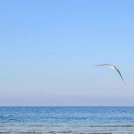 Apartamento 2 Bedroom Cozy In *