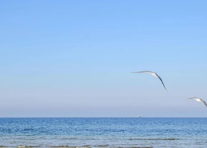 아파트 2 Bedroom Cozy In *